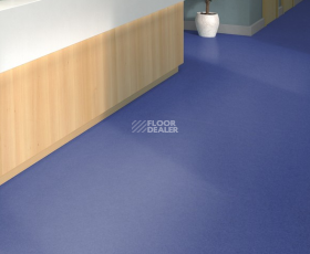 Tarkett iq Melodia 2638 фото 2 | FLOORDEALER